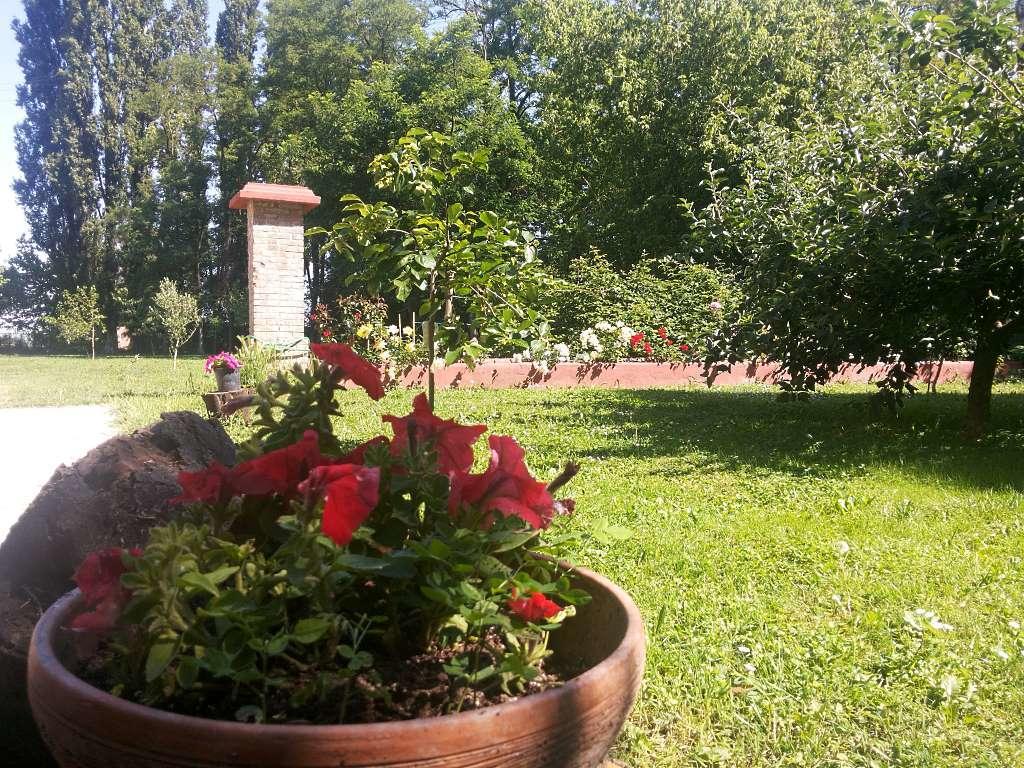 Alloggio Agrituristico Dodici-Apostoli Casumaro Exterior photo
